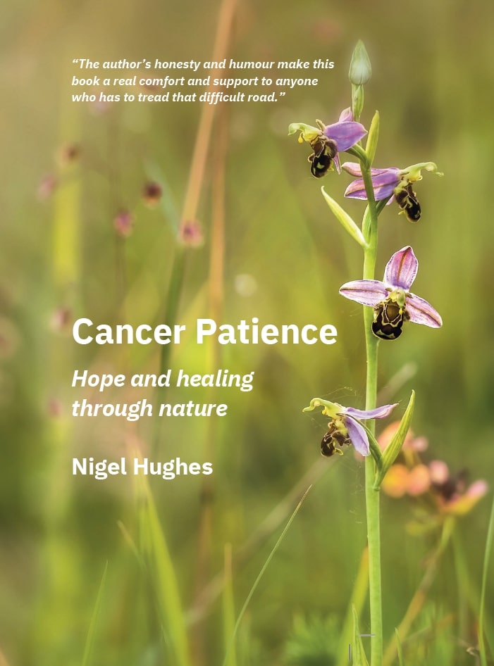 Cancer Patience